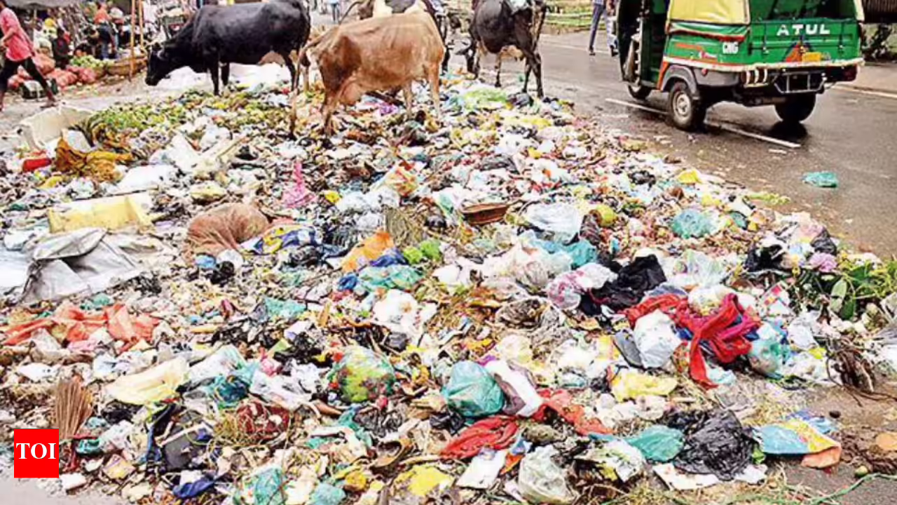 Say No to Plastic